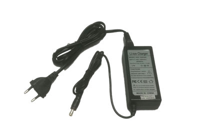 Pacco Batteria a Litio 12V 35AH 35000mA con Caricabatteria da 3.0ah (rettangolare)