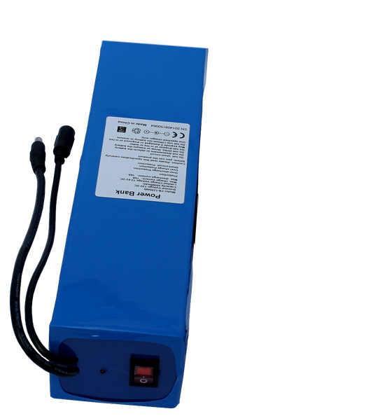 Pacco Batteria a Litio 12V 35AH 35000mA con Caricabatteria da 3.0ah (rettangolare)